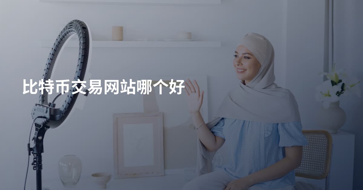 比特币交易网站哪个好