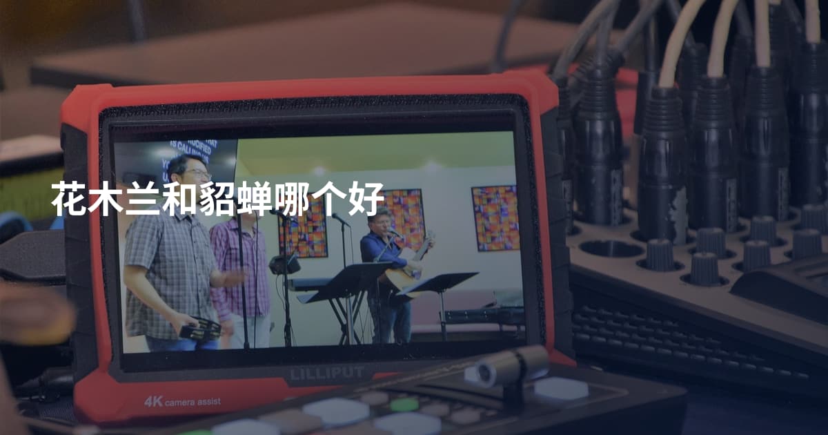 花木兰和貂蝉哪个好
