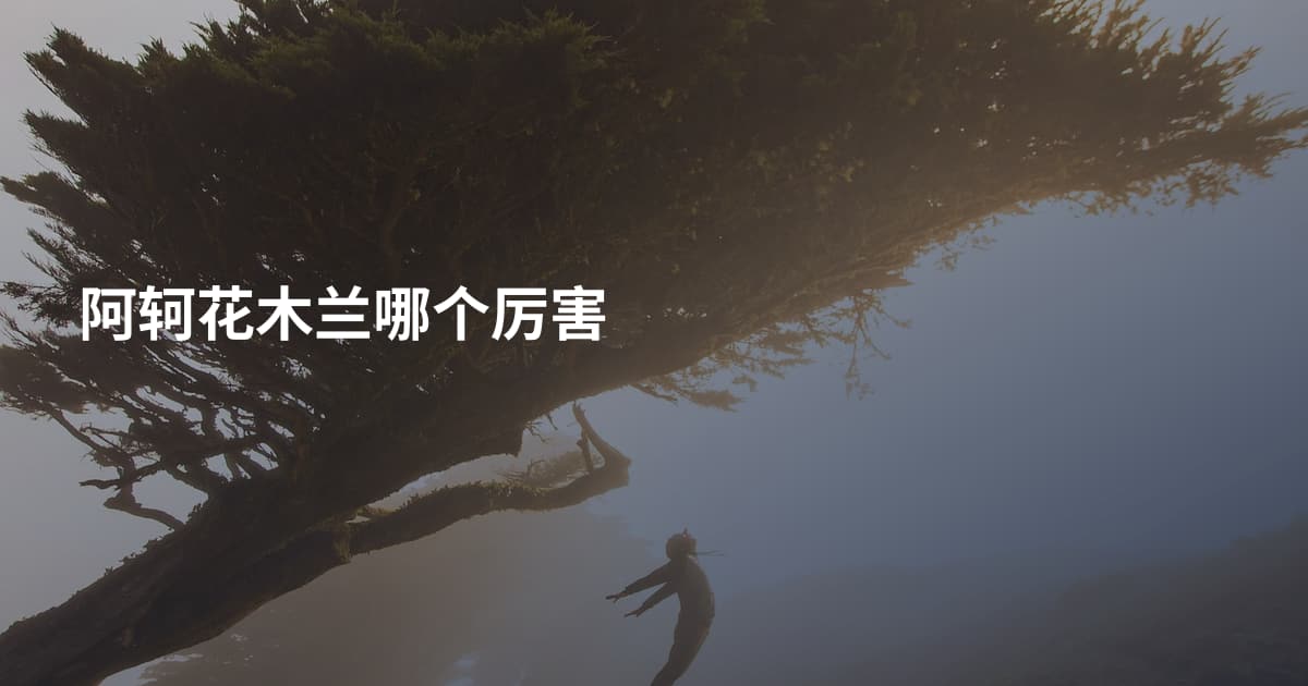 阿轲花木兰哪个厉害