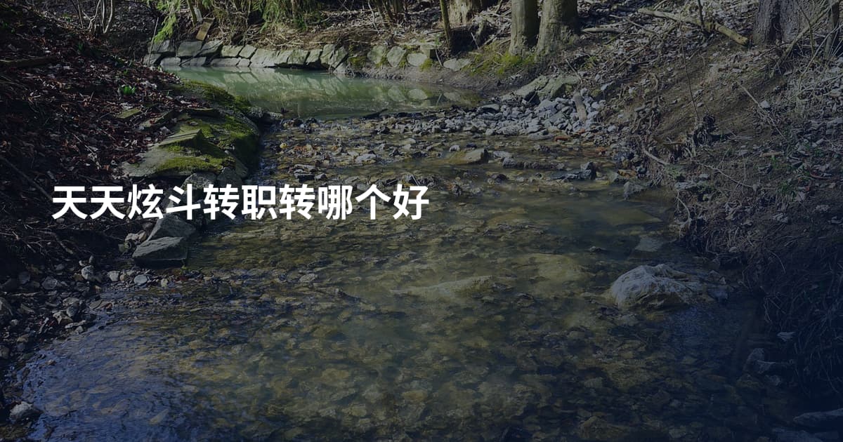 天天炫斗转职转哪个好