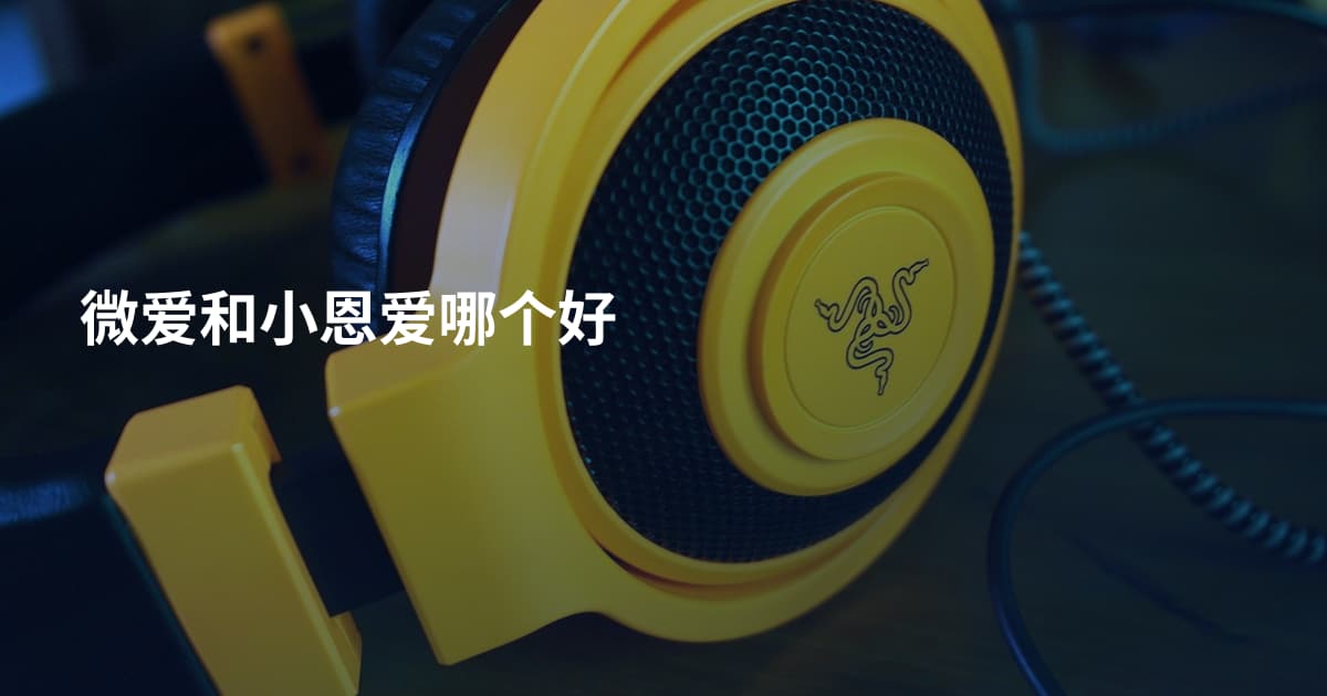 微爱和小恩爱哪个好