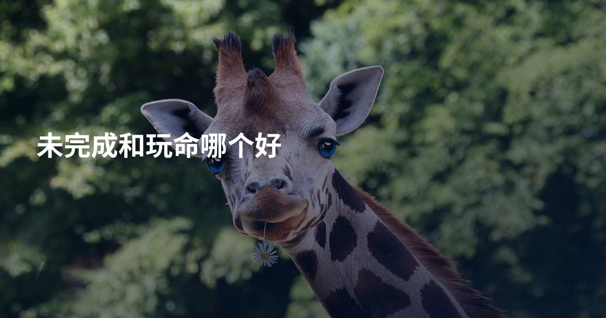 未完成和玩命哪个好