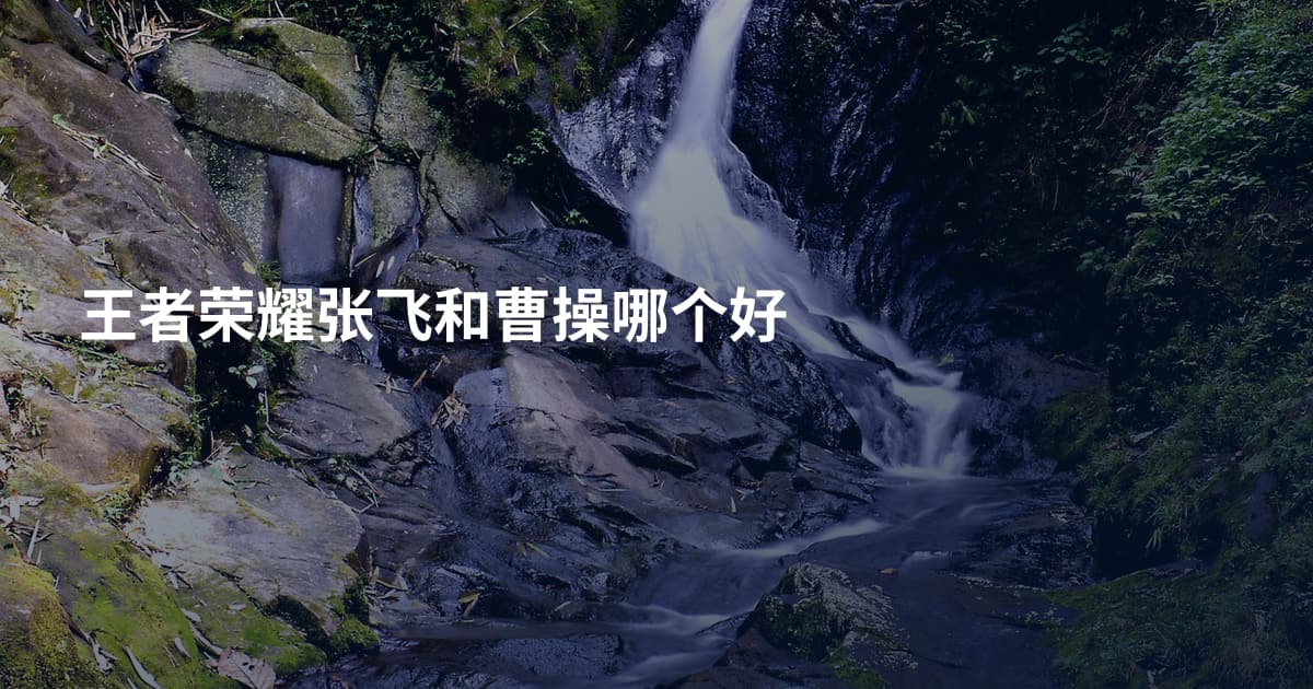 王者荣耀张飞和曹操哪个好