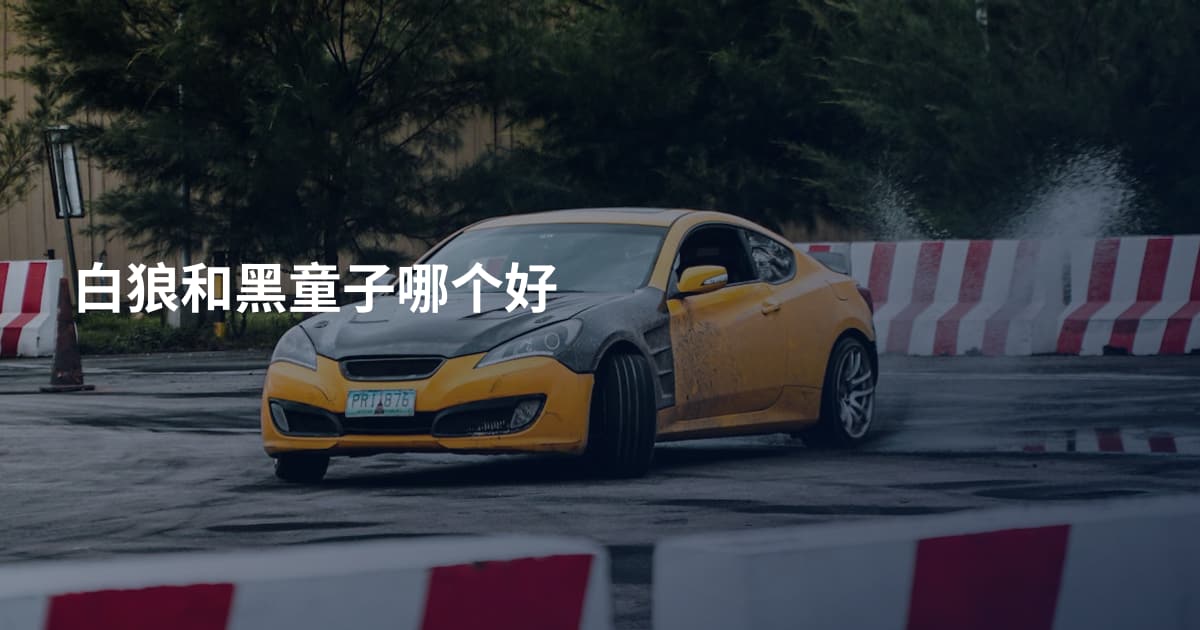 白狼和黑童子哪个好