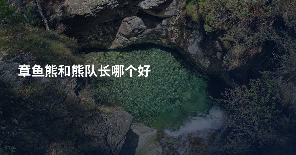章鱼熊和熊队长哪个好