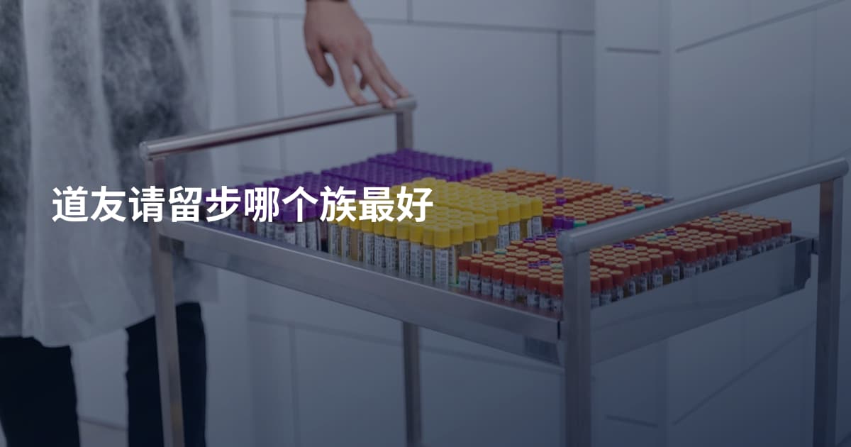道友请留步哪个族最好