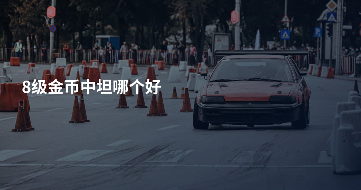 8级金币中坦哪个好