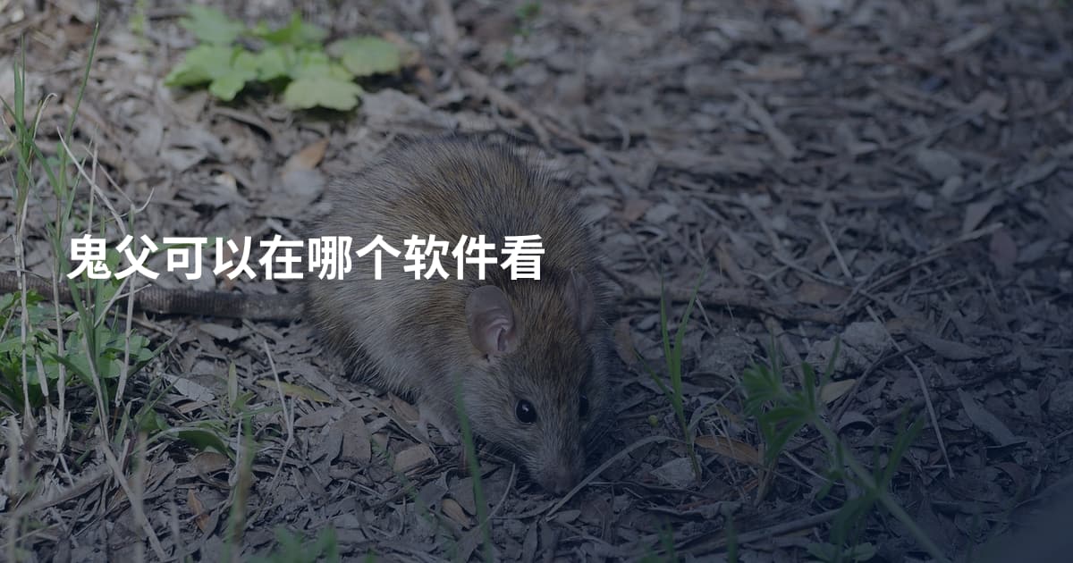 鬼父可以在哪个软件看