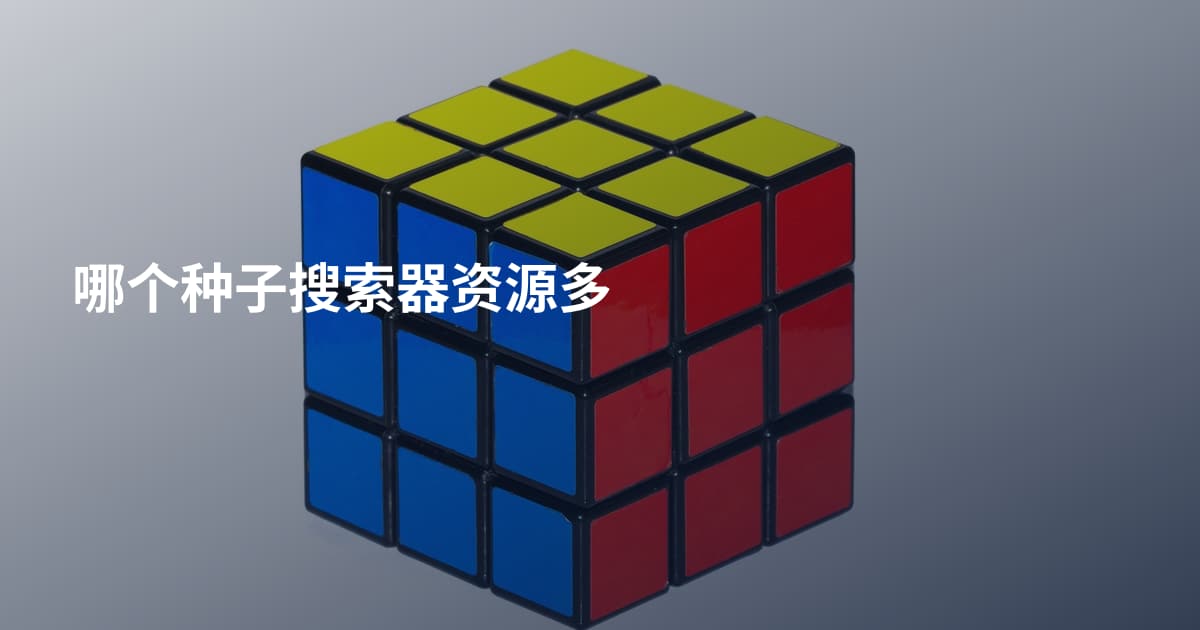 哪个种子搜索器资源多