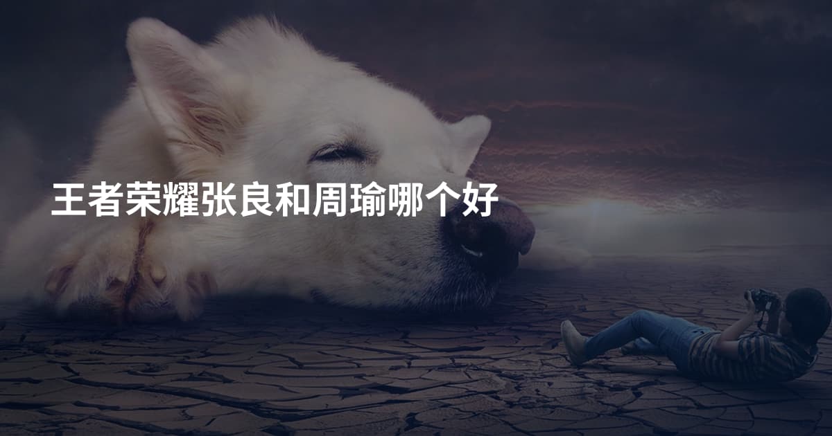 王者荣耀张良和周瑜哪个好
