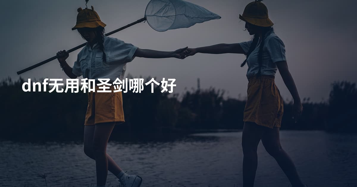 dnf无用和圣剑哪个好