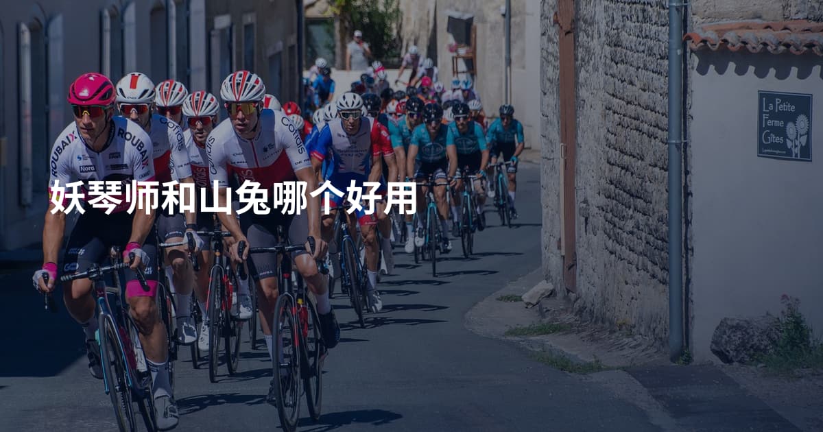 妖琴师和山兔哪个好用