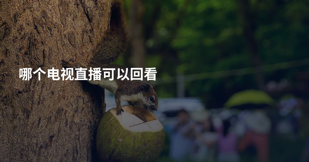 哪个电视直播可以回看