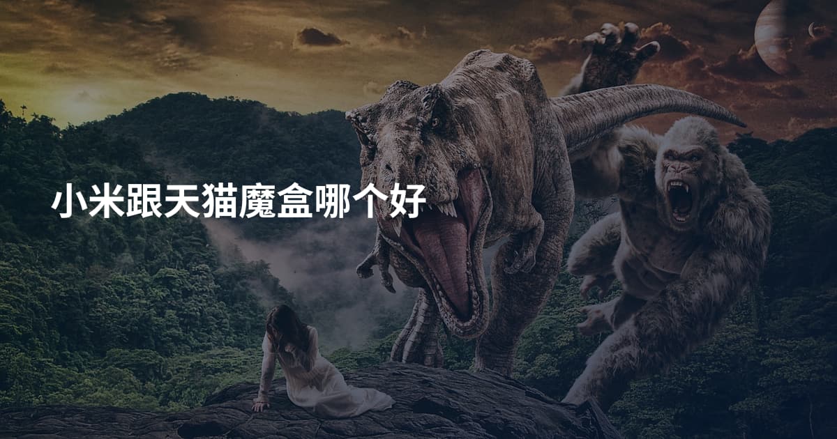 小米跟天猫魔盒哪个好