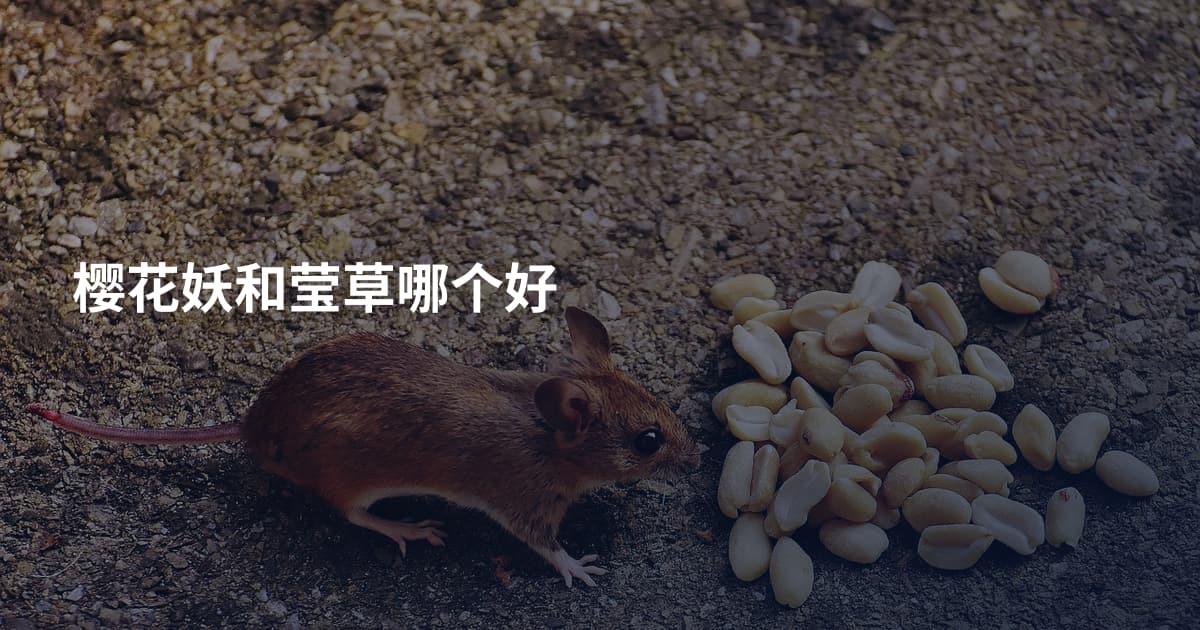 樱花妖和莹草哪个好