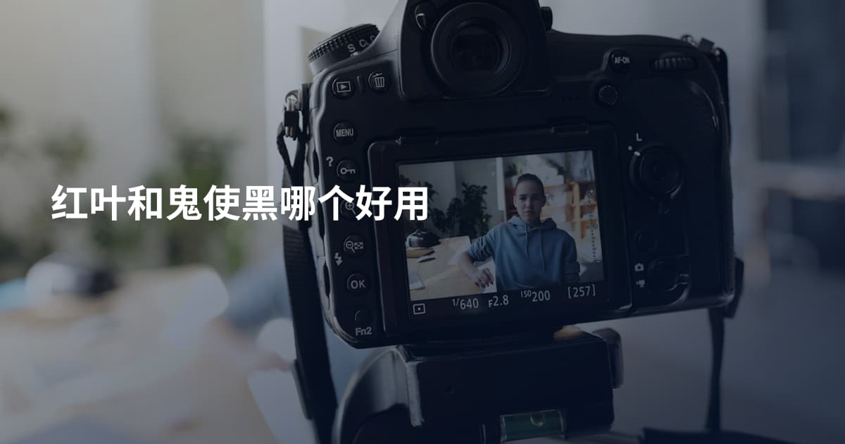 红叶和鬼使黑哪个好用