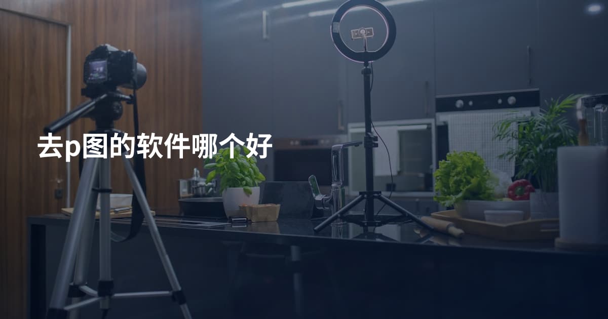 去p图的软件哪个好