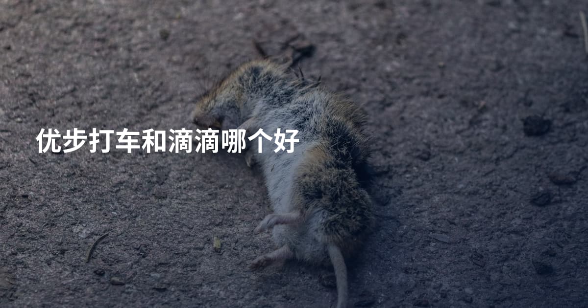 优步打车和滴滴哪个好