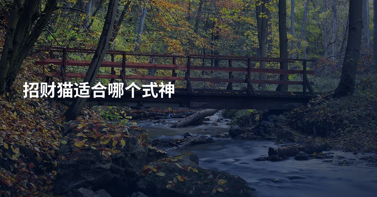 招财猫适合哪个式神