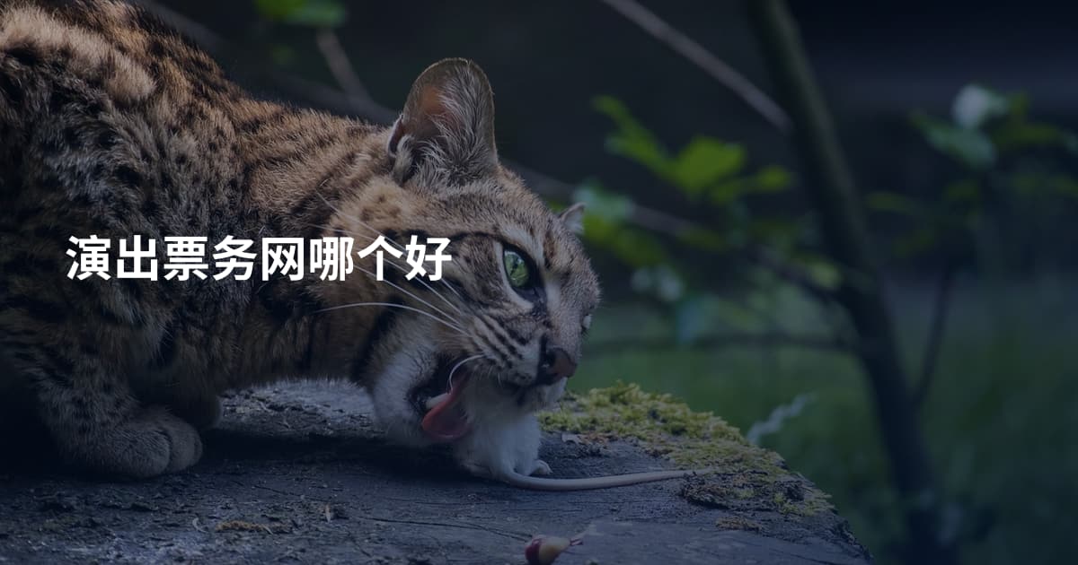 演出票务网哪个好