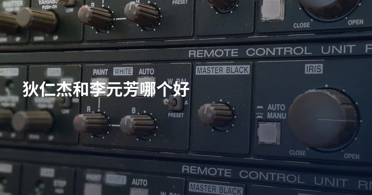 狄仁杰和李元芳哪个好