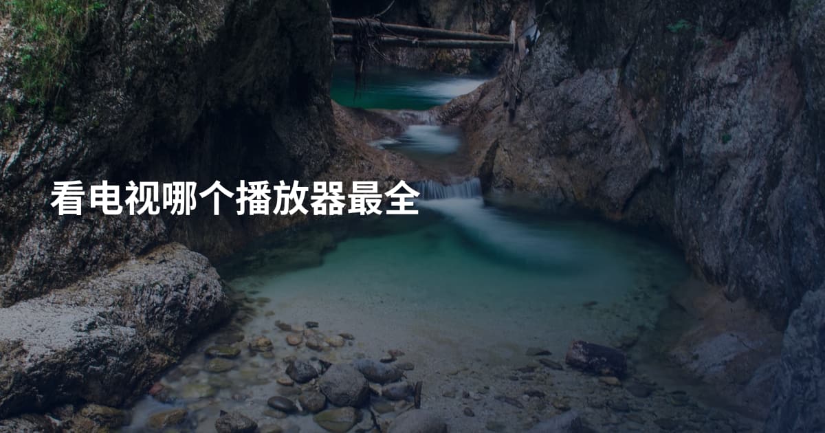 看电视哪个播放器最全