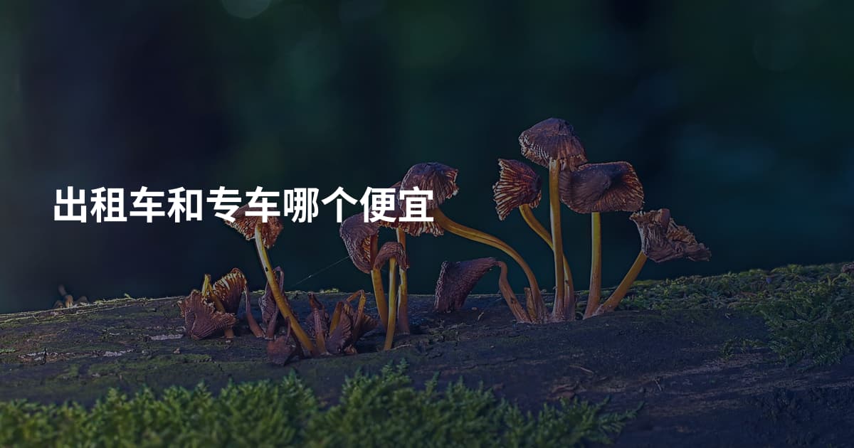 出租车和专车哪个便宜