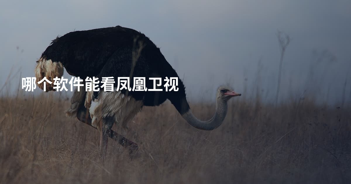哪个软件能看凤凰卫视