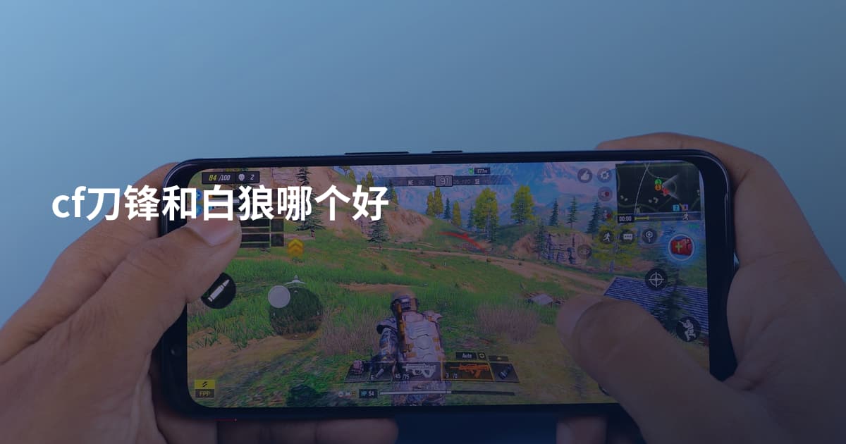 cf刀锋和白狼哪个好