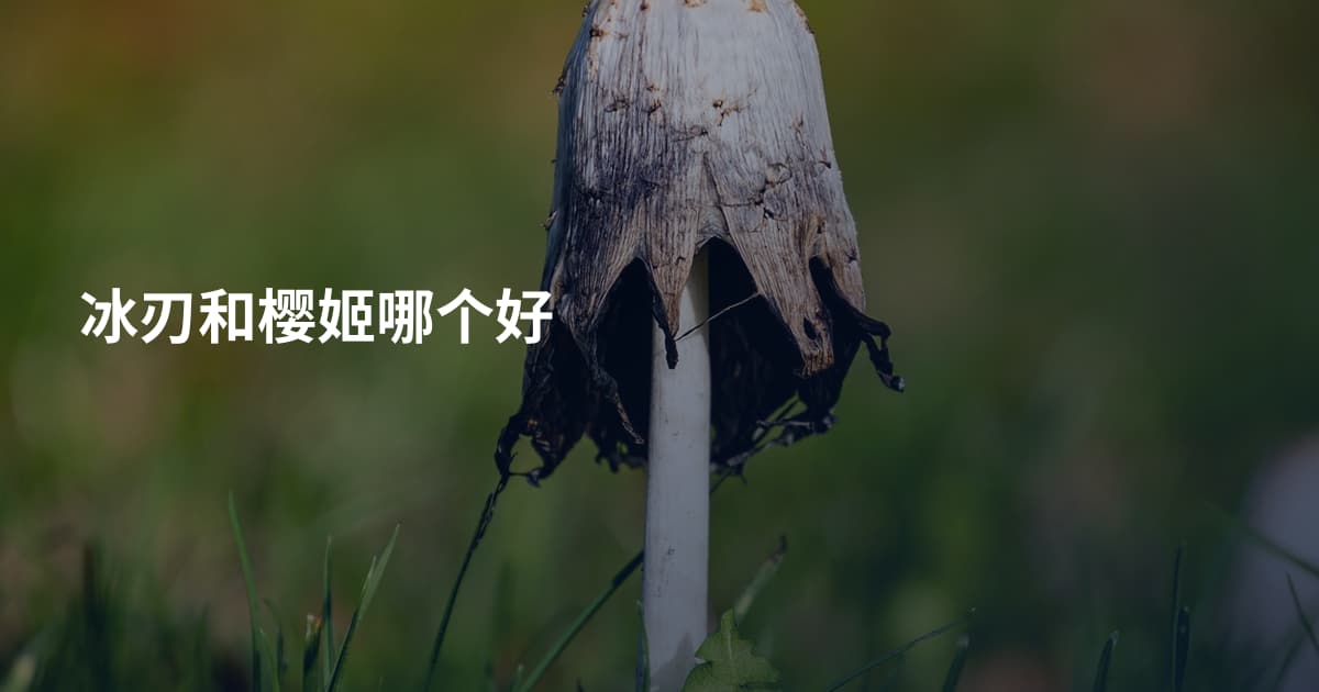 冰刃和樱姬哪个好