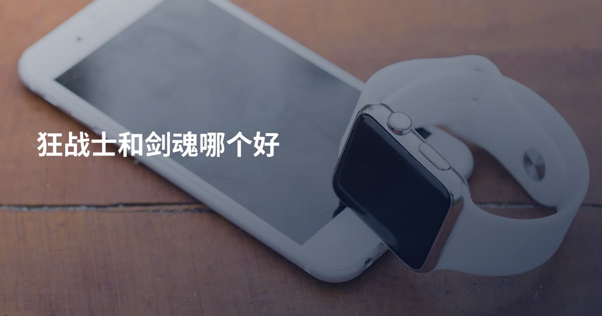 狂战士和剑魂哪个好
