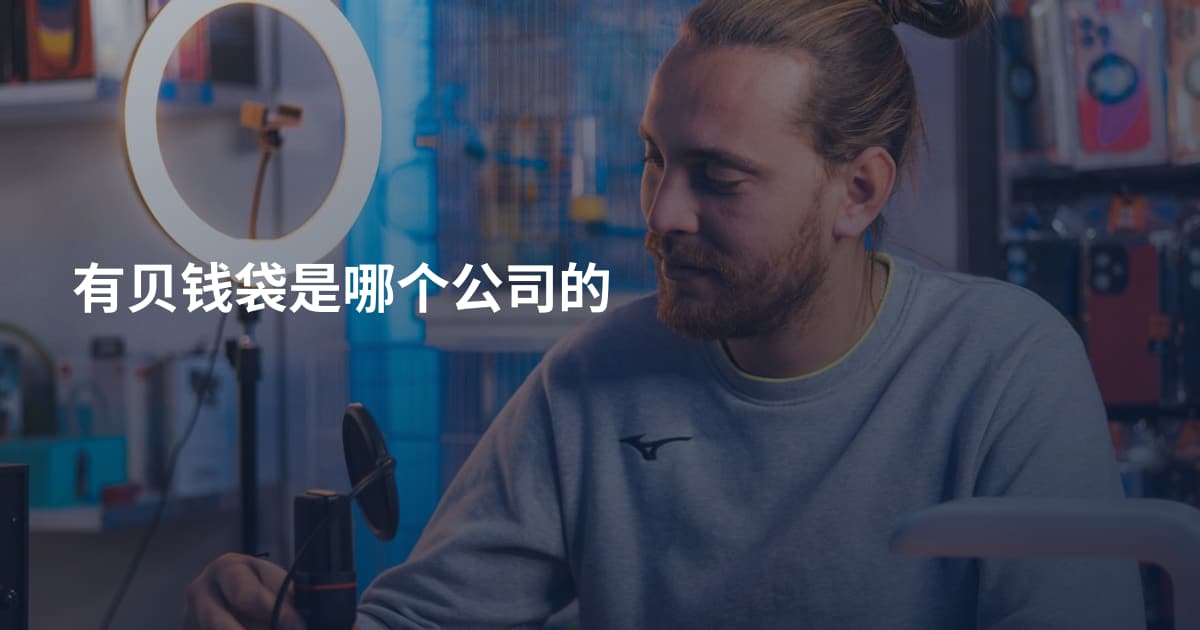 有贝钱袋是哪个公司的