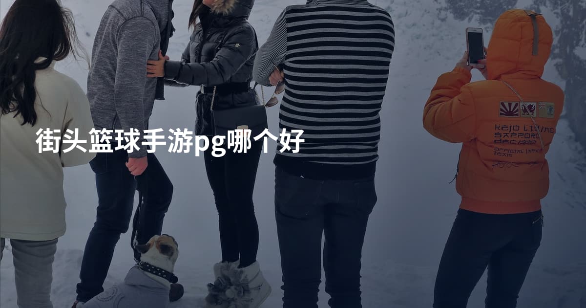 街头篮球手游pg哪个好