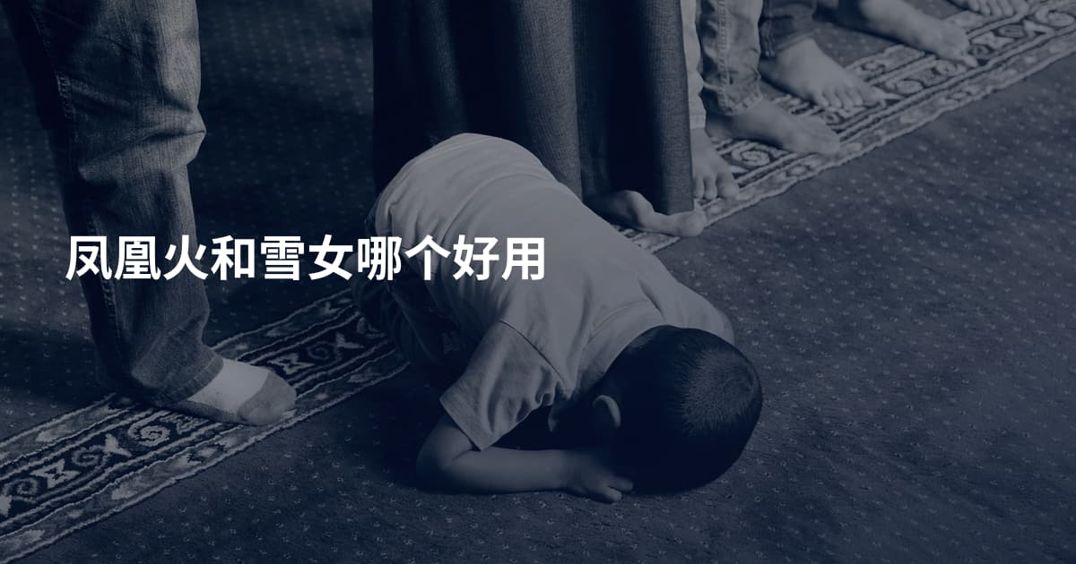 凤凰火和雪女哪个好用
