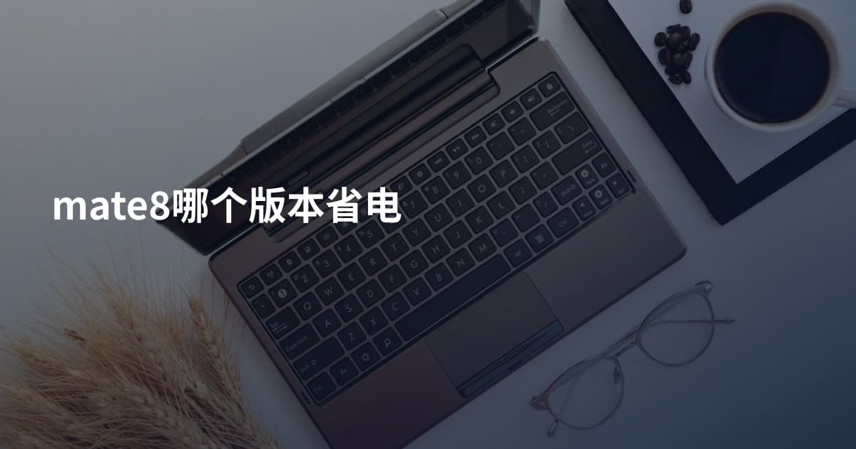 mate8哪个版本省电