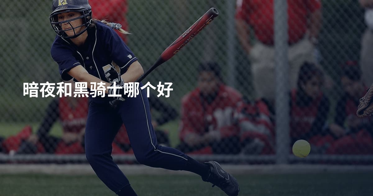 暗夜和黑骑士哪个好