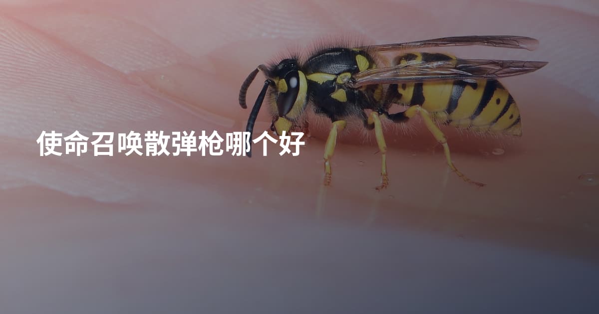 使命召唤散弹枪哪个好