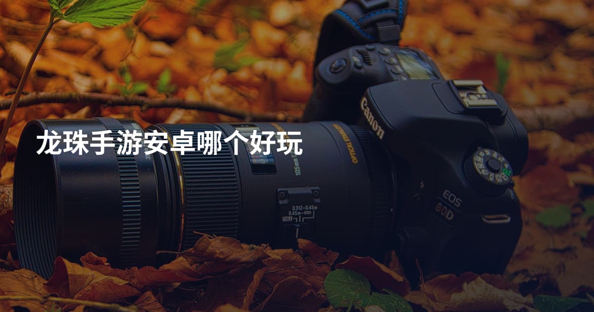 龙珠手游安卓哪个好玩