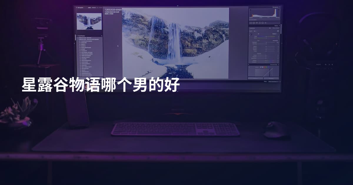 星露谷物语哪个男的好