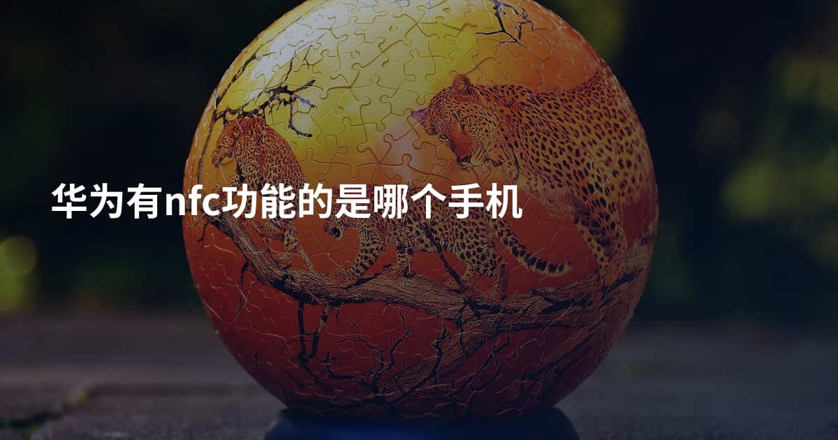 华为有nfc功能的是哪个手机