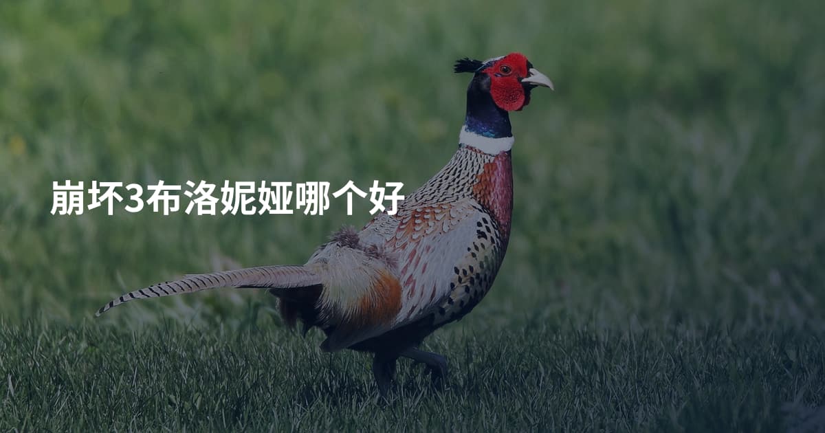 崩坏3布洛妮娅哪个好
