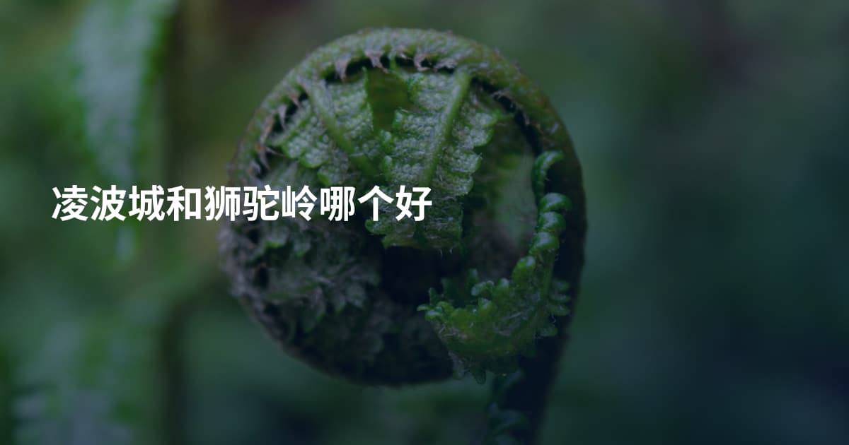 凌波城和狮驼岭哪个好