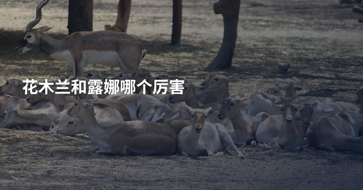 花木兰和露娜哪个厉害