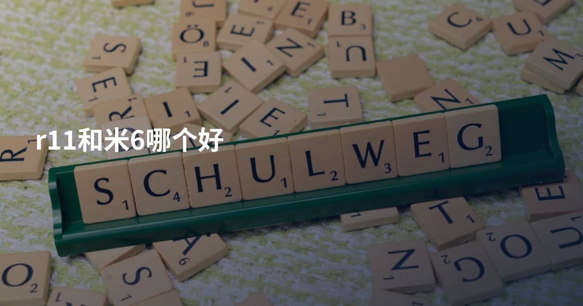 r11和米6哪个好