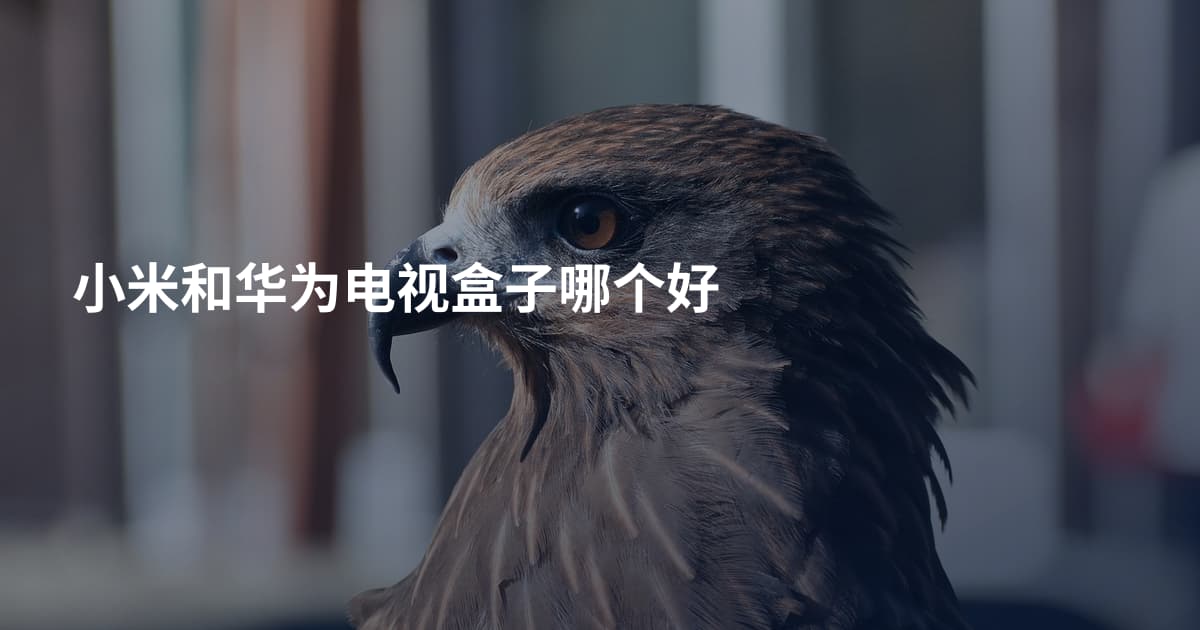 小米和华为电视盒子哪个好