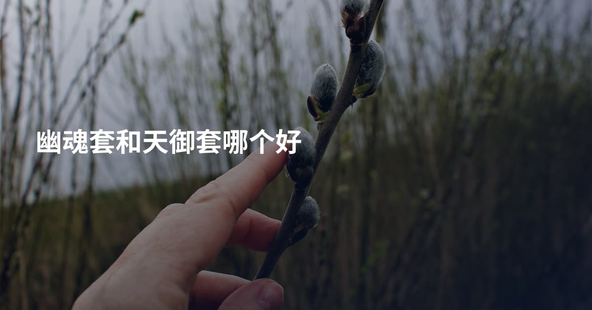 幽魂套和天御套哪个好