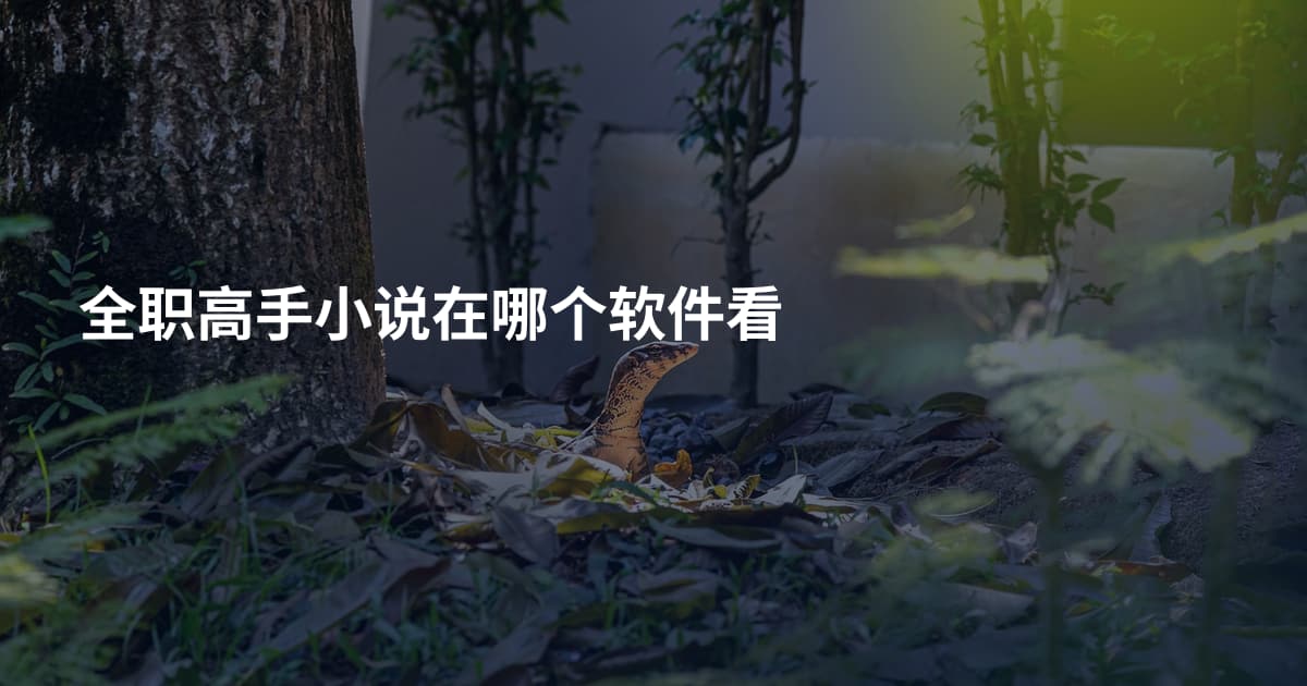 全职高手小说在哪个软件看