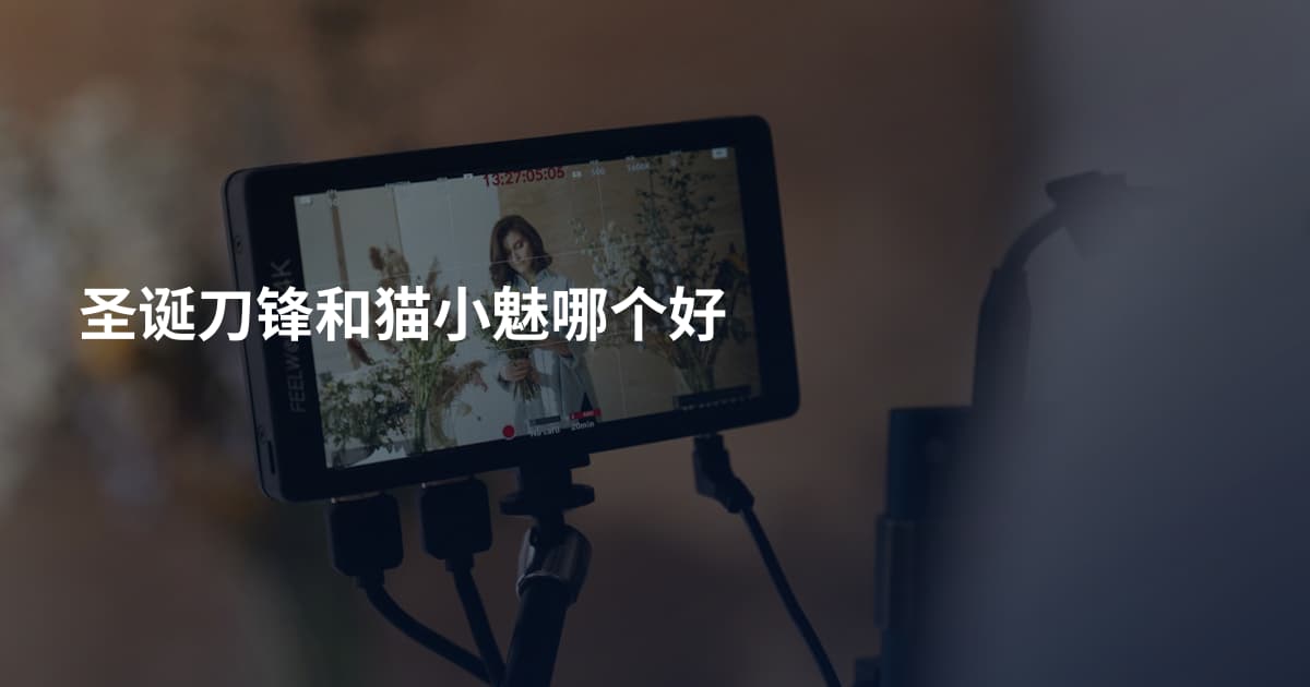 圣诞刀锋和猫小魅哪个好