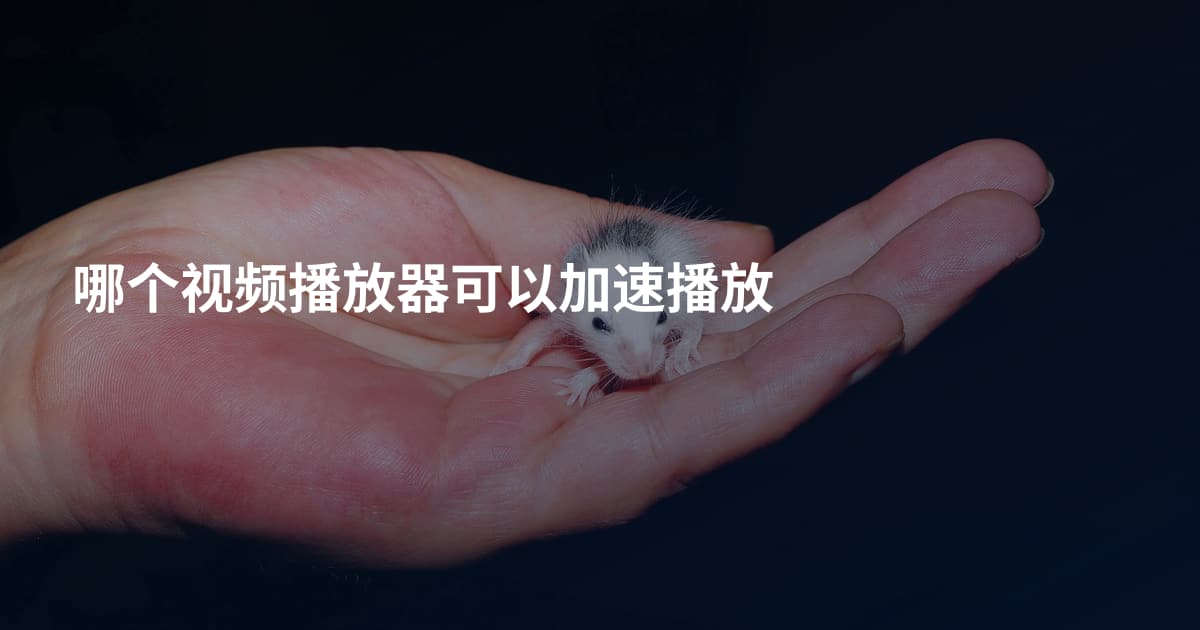 哪个视频播放器可以加速播放