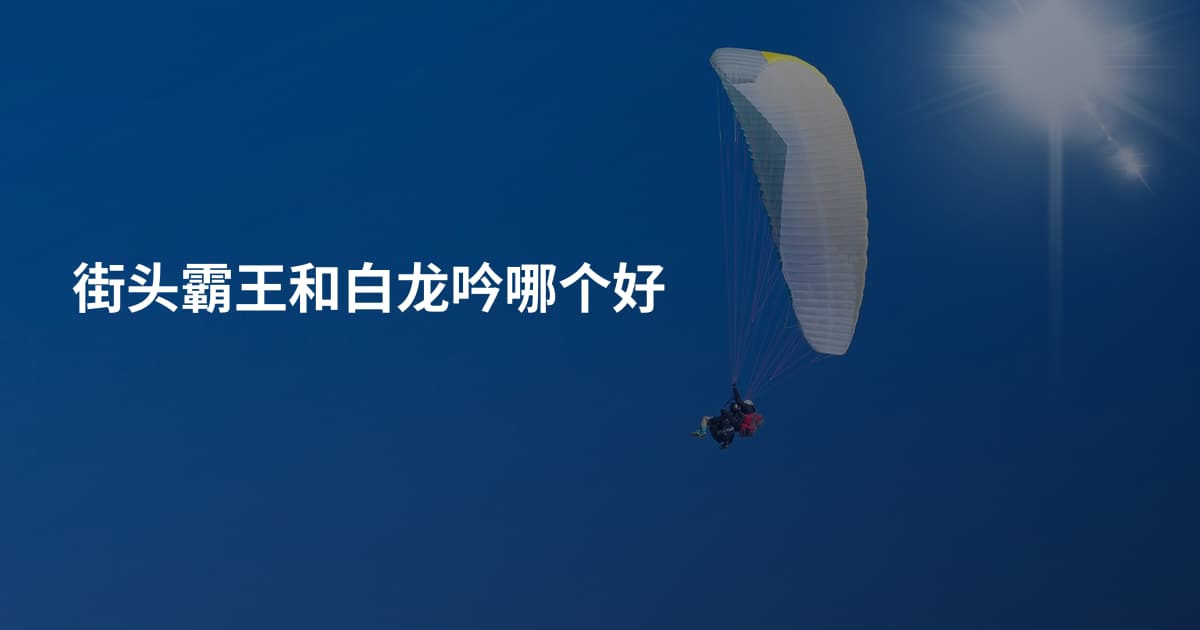 街头霸王和白龙吟哪个好